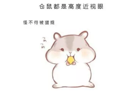 倉鼠高度近視