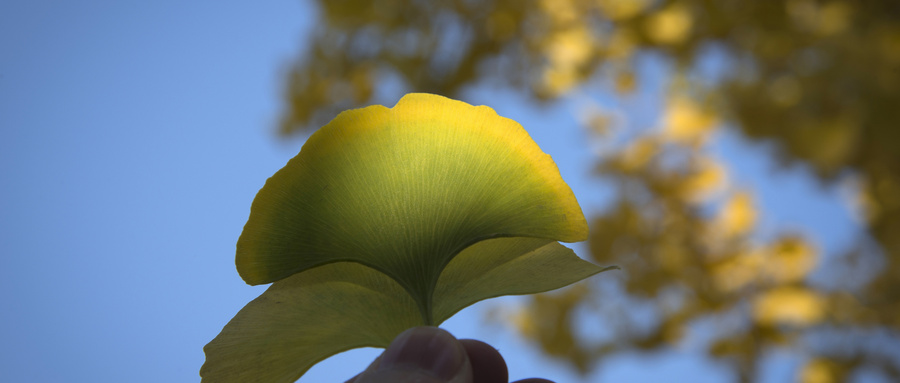 白內(nèi)障原因